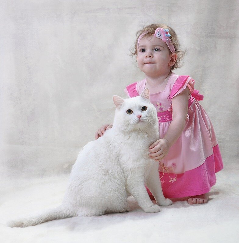 Фото из свободного доступа.                                                                                                        