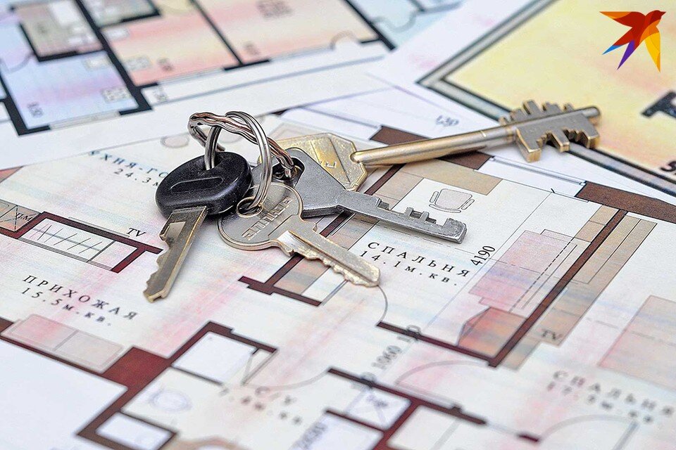     В Беларуси риелторы должны будут по-новому получать лицензии в Минюсте. Виктор ГИЛИЦКИЙ