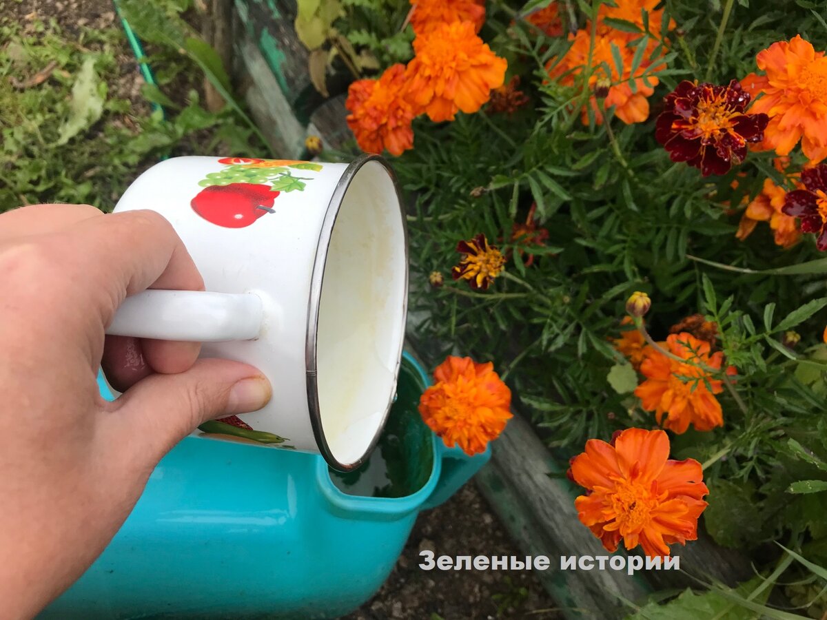 500 мл раствора на лейку 10 литров