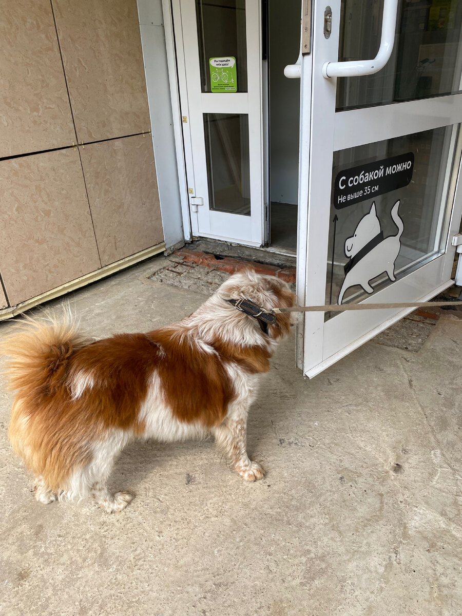 Проходит проверку по росту