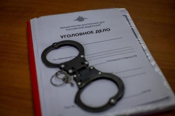 Источник фото: sledcom.ru