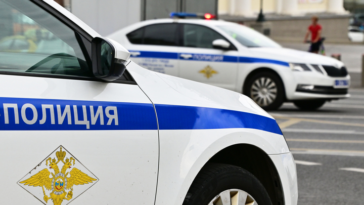 БАРАНОВ ВЛАДИМИР/GLOBALLOOKPRESS 