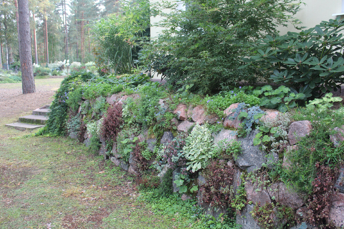 начало сентября