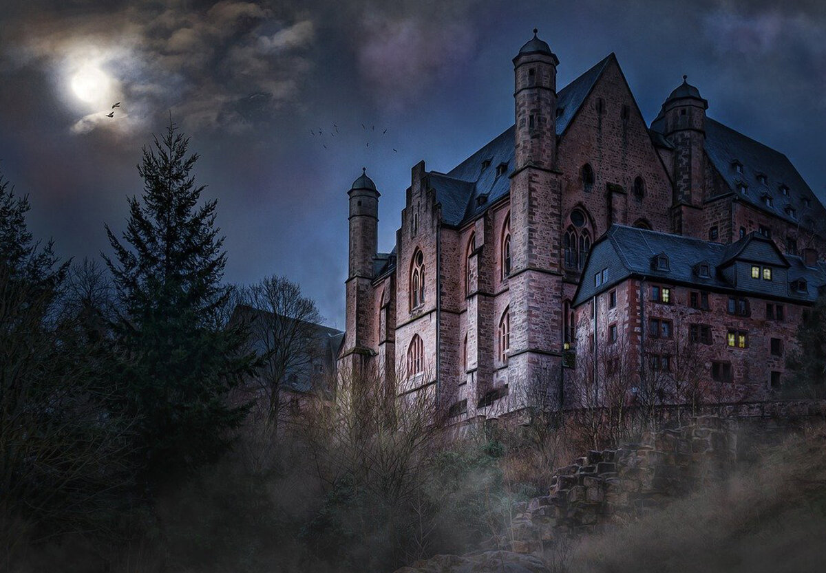 Яндекс картинки