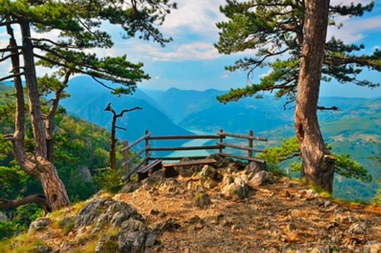 ФОТО: © SIMON BELCHER/ IMAGEBROKER.COM/GLOBALLOOKPERSS