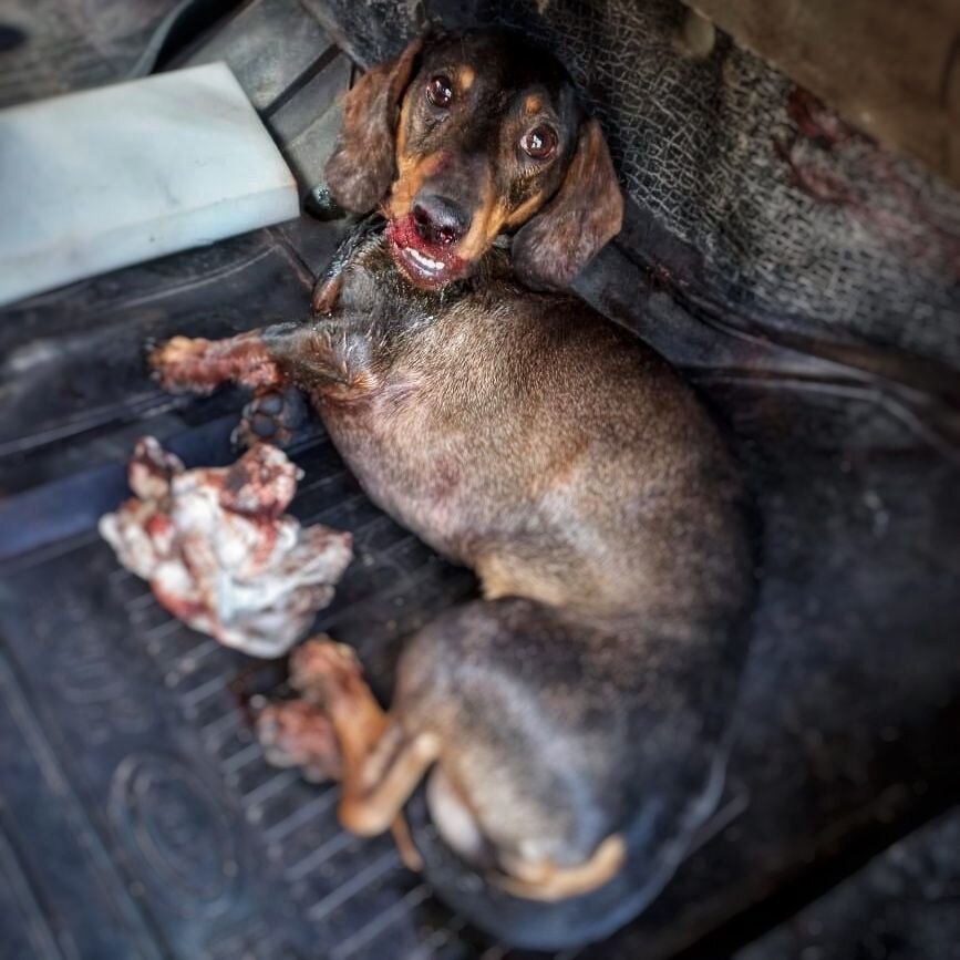 Несчастный мальчишка чуть не погиб под колесами автомобиля