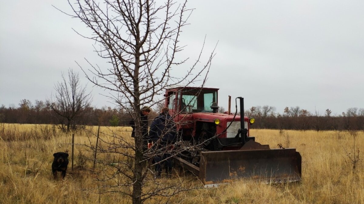     После того, как полуостров остался без горючего и в Севастополе обсохли АЗС, власти начали принимать экстренные меры. Запасы пополнили, но топлива хватит на четыре дня. Первые в очереди на получение горючки — аграрии, которые не могут собрать урожай и начать посевную.