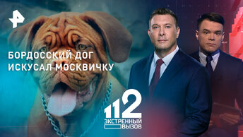 Бордосский дог искусал москвичку, а хозяйка пса осталась безнаказанной