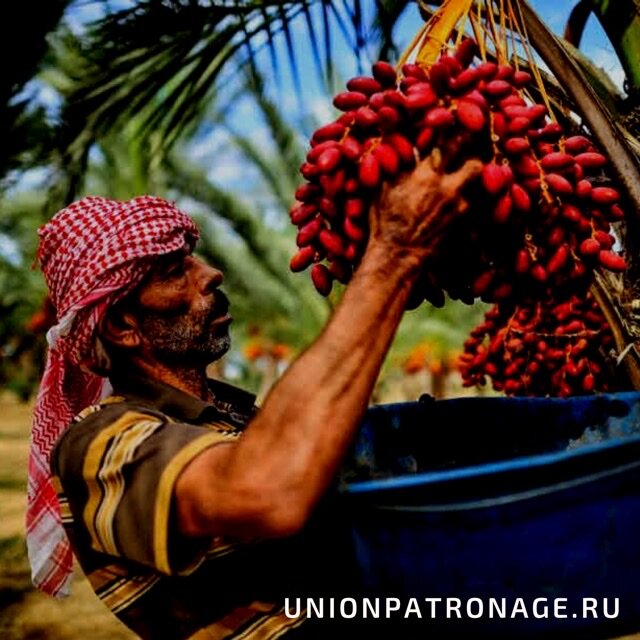 Фото взято из открытых источников 