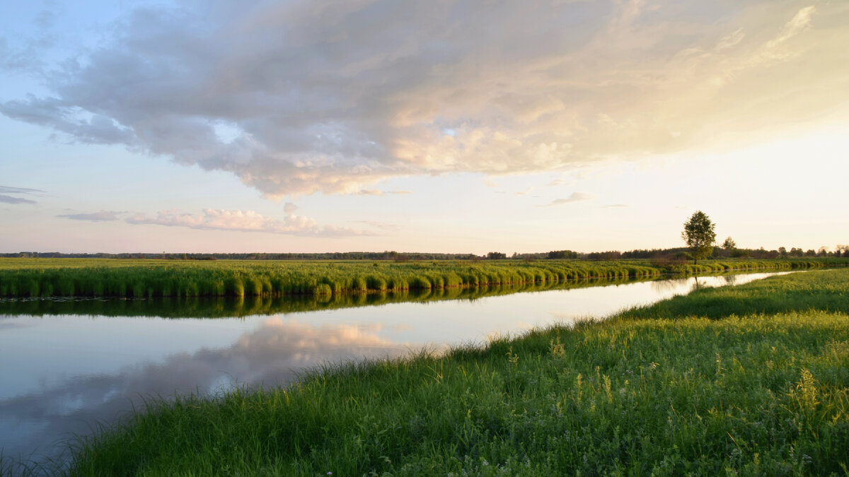 о.Мишкино, Томская обл., Первомайский р-он. Озеро очень богато карасём.
