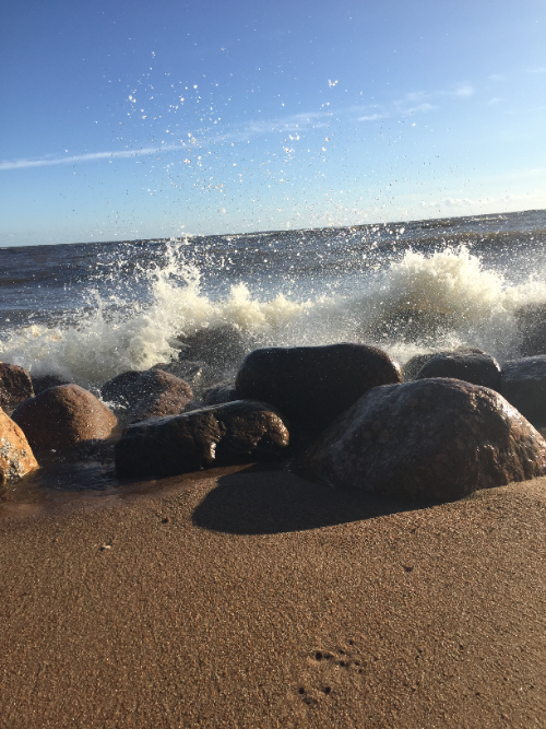 Побережье Финского залива в Репино. Фото автора