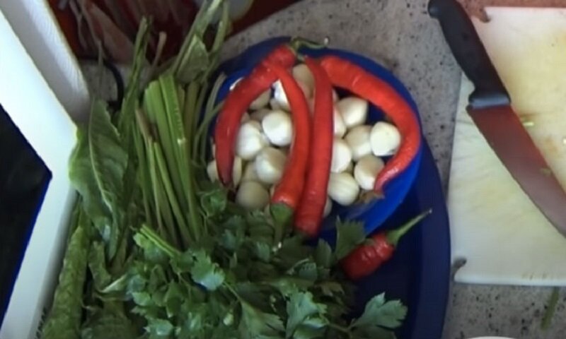Маринуем и солим огурцы холодным способом не в банках, а в пластиковых бидонах 