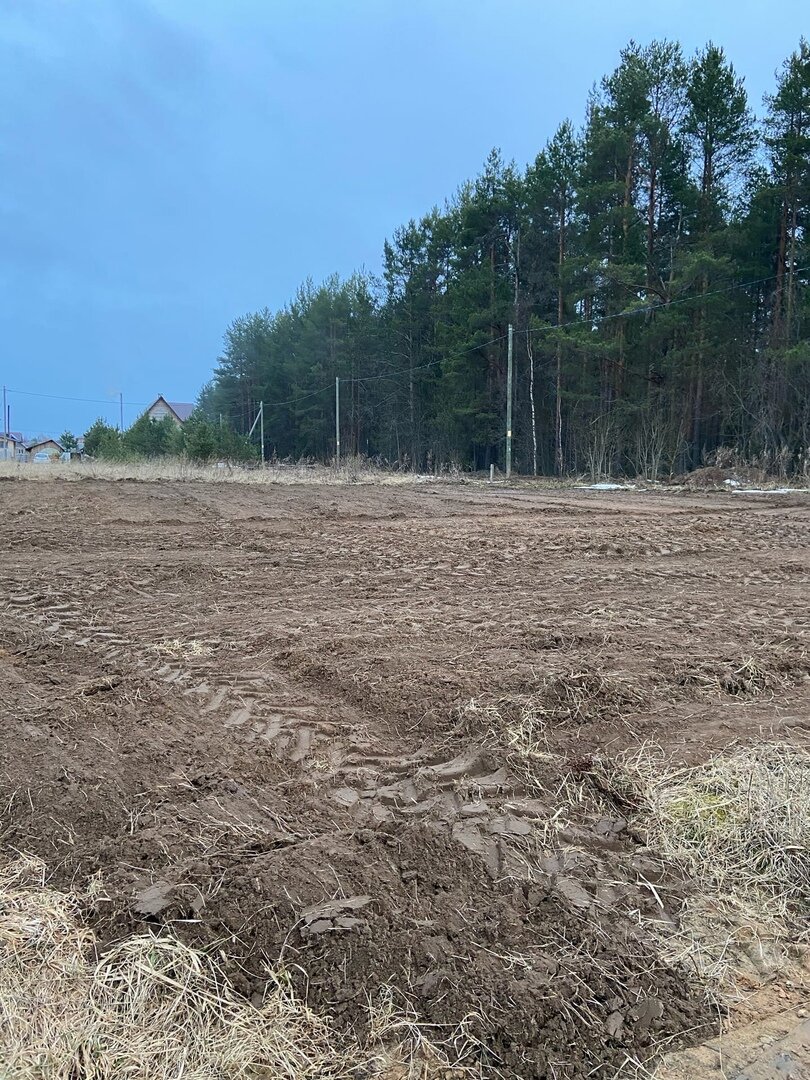 На фото участок после выравнивания