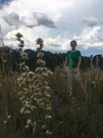 на тайной тропинке до деревни