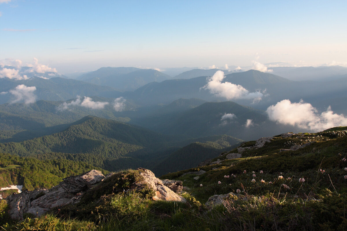 источник фото Яндекс коллекция