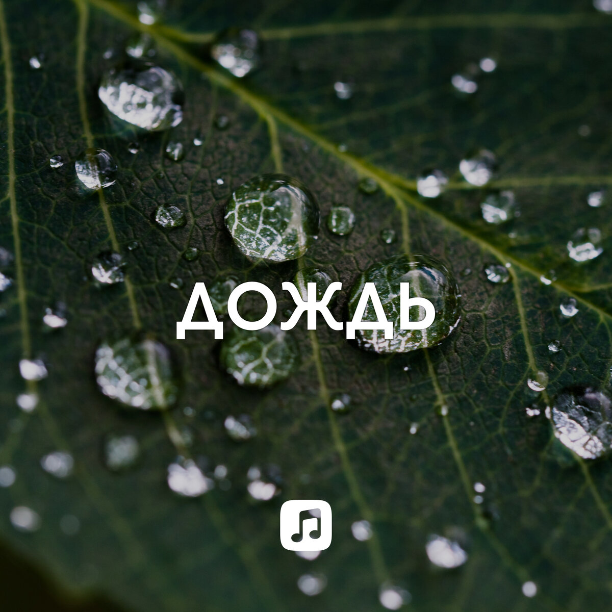 Rain instrumental. Музыка дождя.