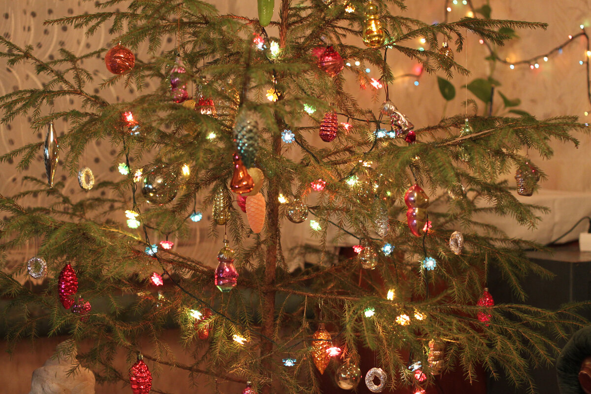 Кусочек нашей ёлочки. Фото автора