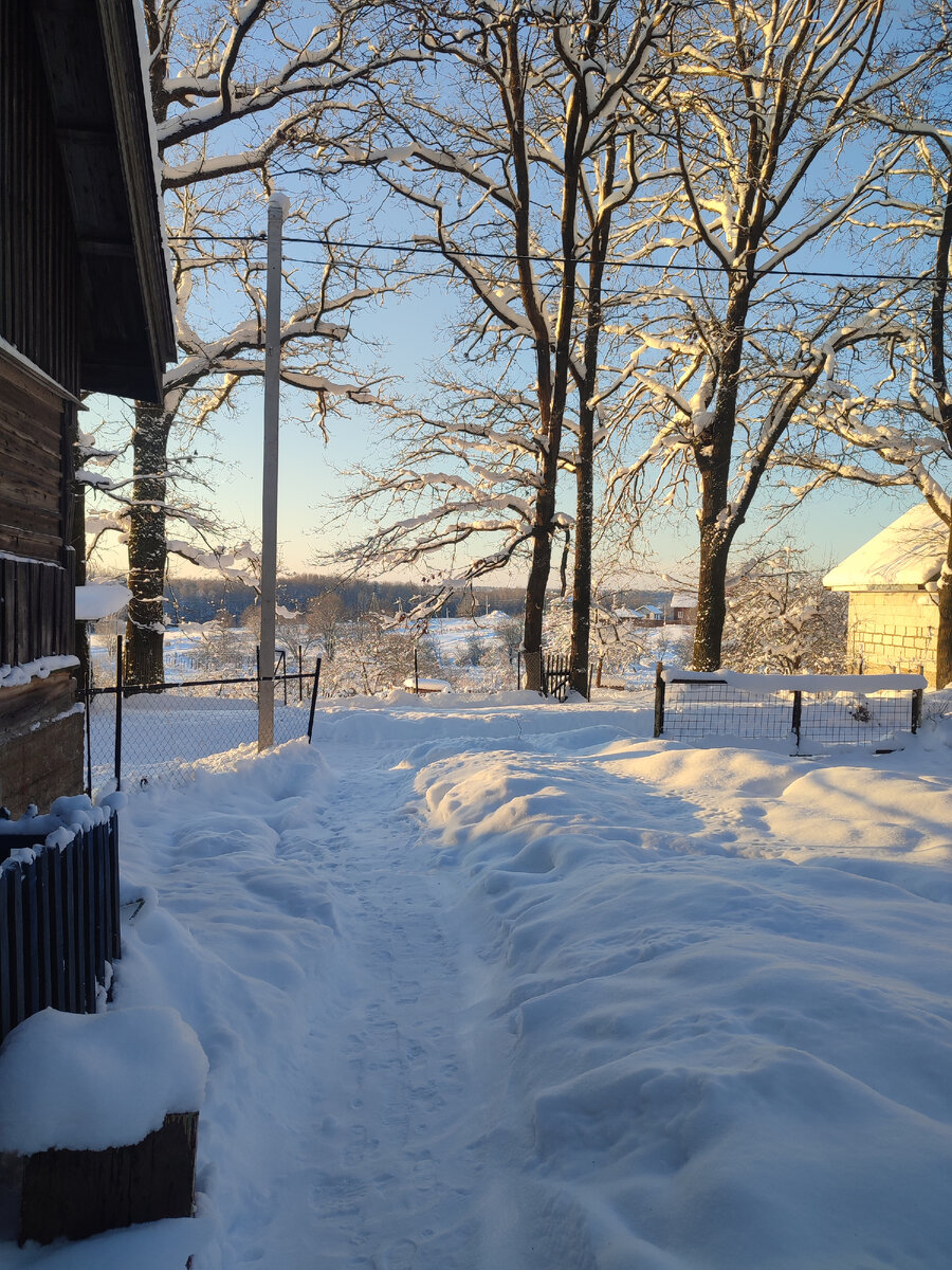 Вид у домика нашего. 