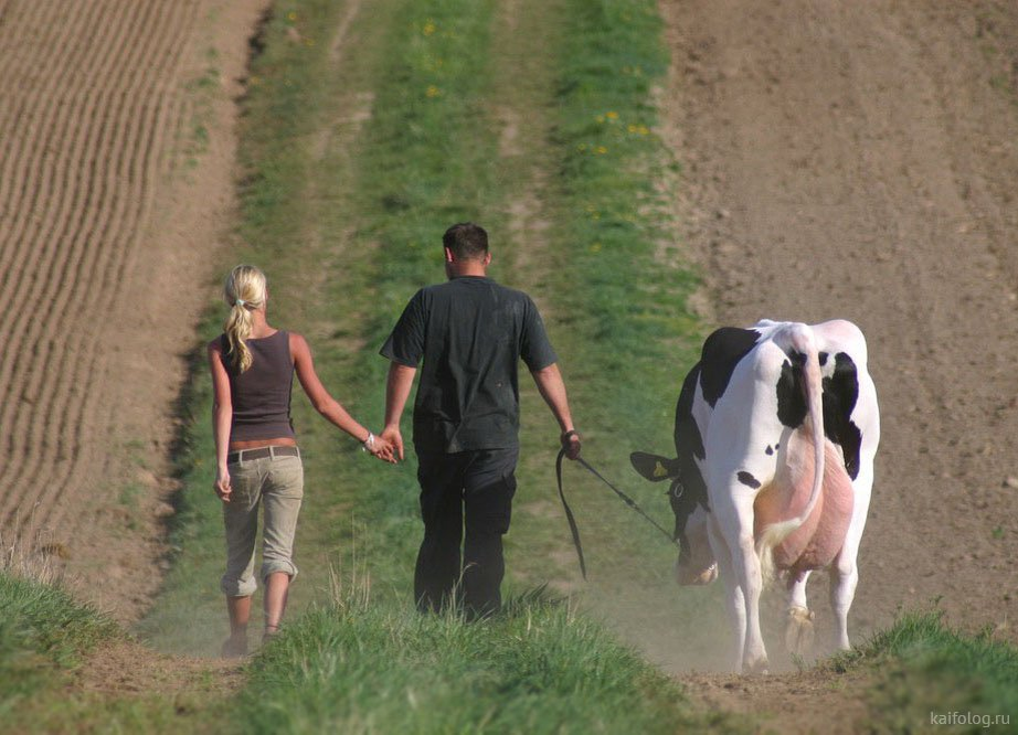 Телки они такие (фото взято с открытых источников Яндекса https://kaifolog.ru/uploads/posts/2019-10/1570955341_001.jpg)