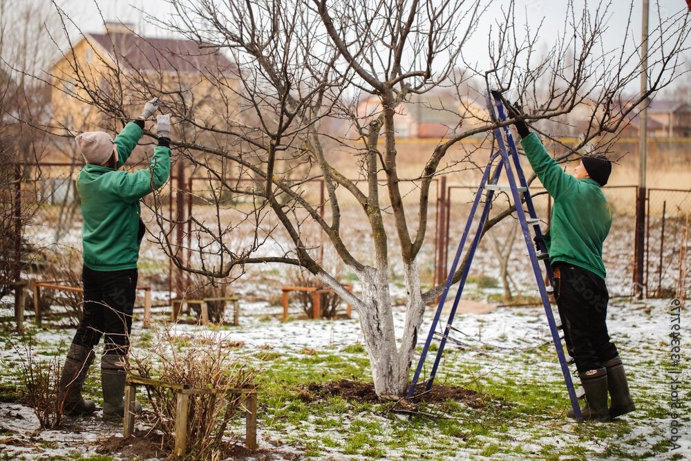 Работы в саду в апреле