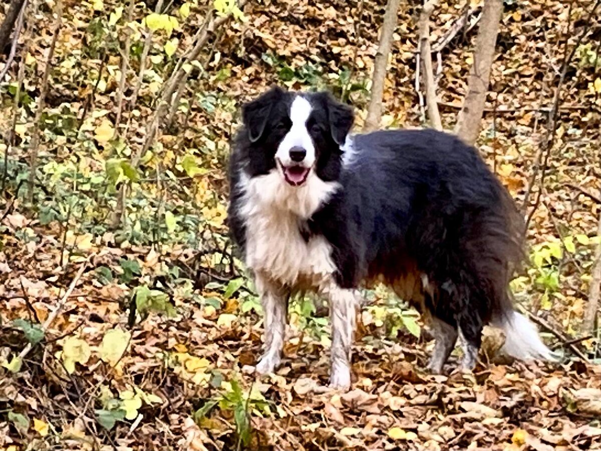 Баста с мокрыми грязными ногами, только что вылезла из болота