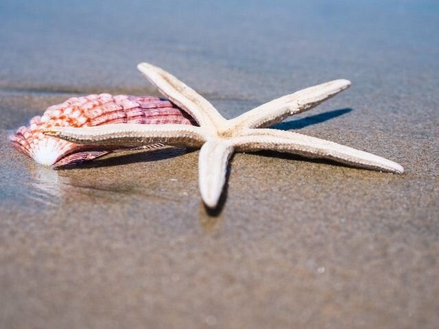    Фото: pixabay