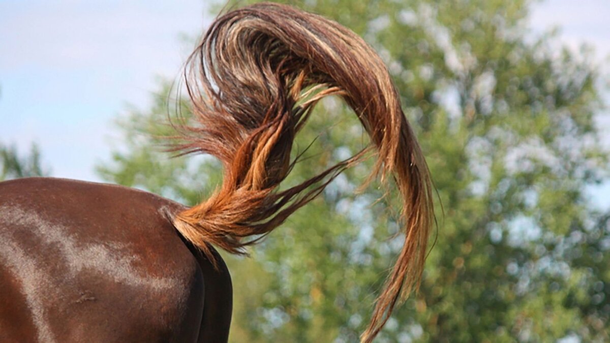 Картинка из открытого источника в Яндекс