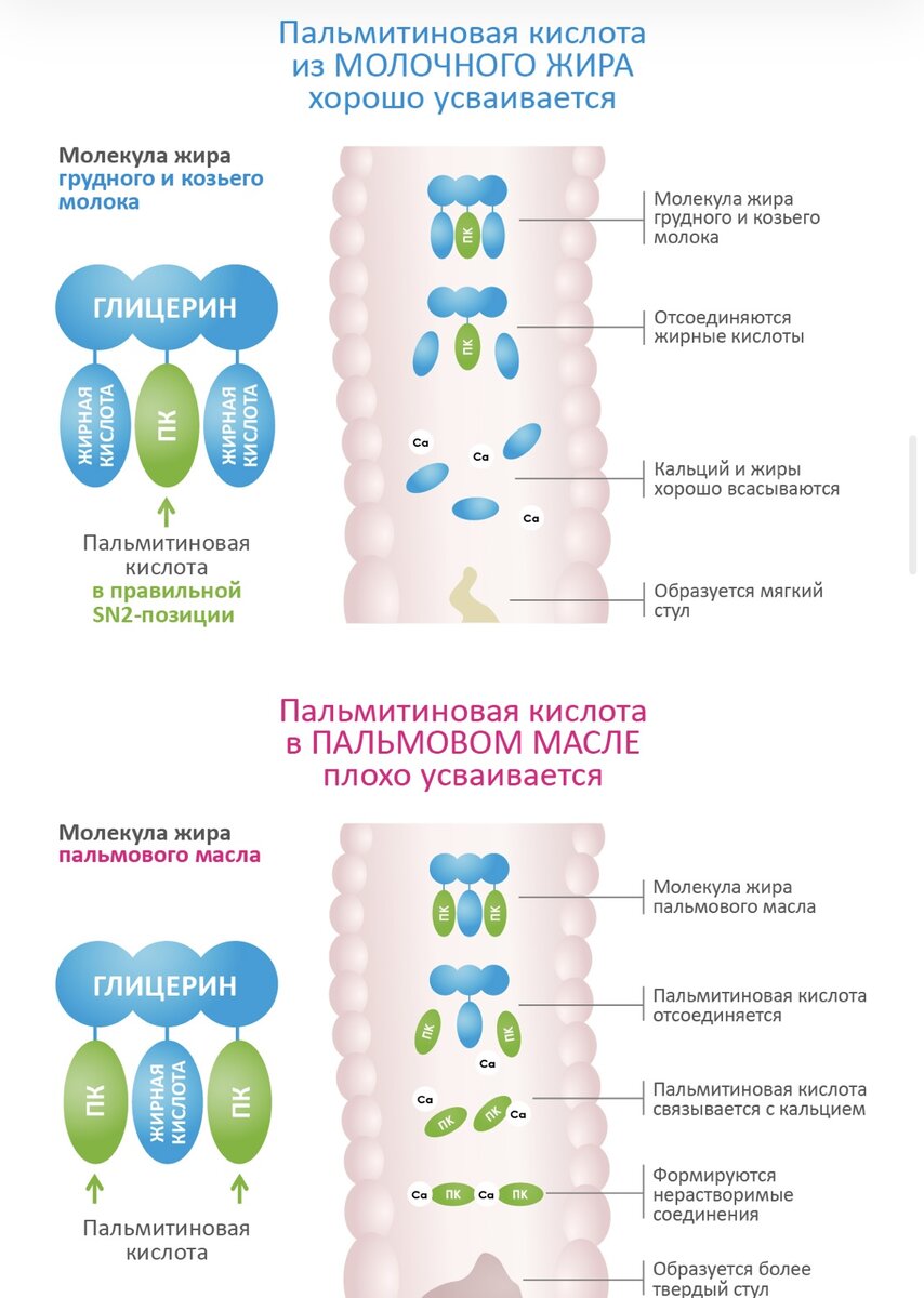 Пальмовое масло в детских смесях