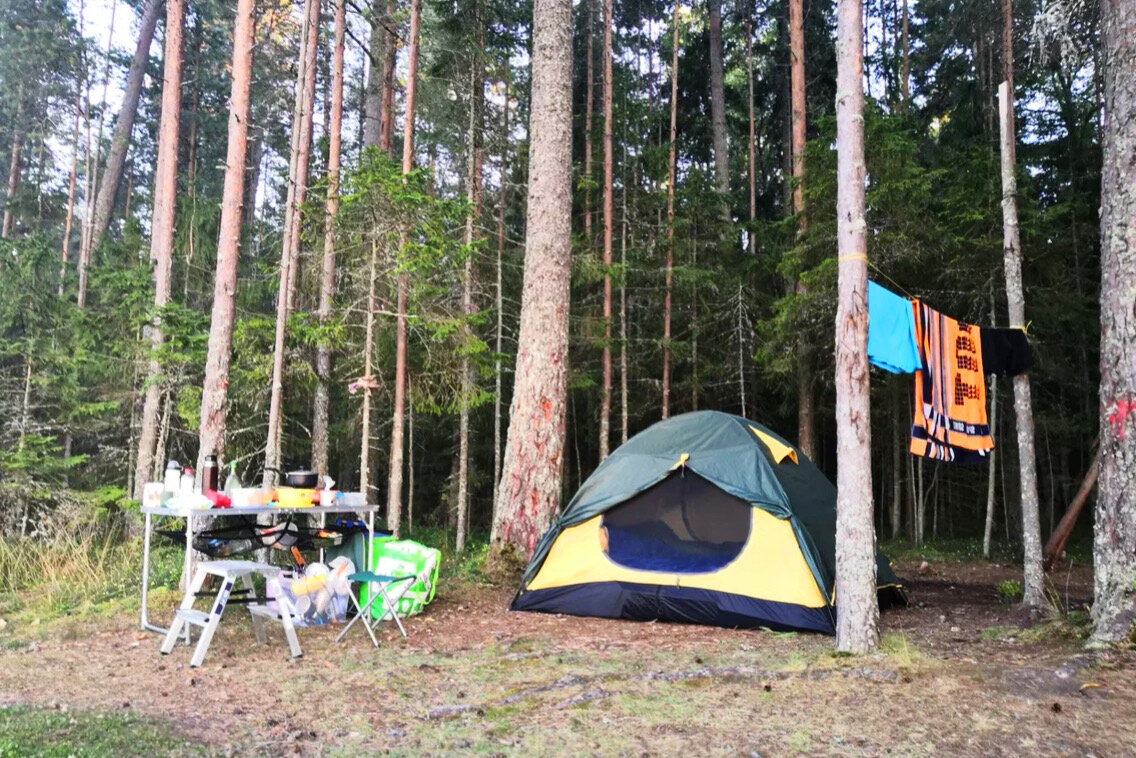 Палатка туристическая. Как купить и не переплатить