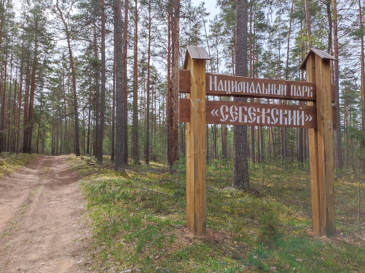 Себежский национальный парк псковская область