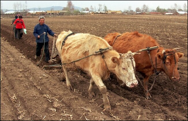 Вспахал больше. чем один МУ ( из открытых источников).