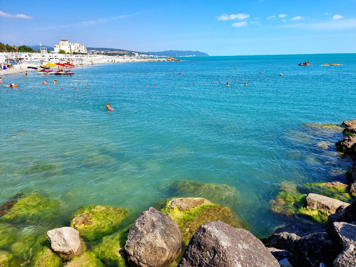 что такое бухта в море геленджик