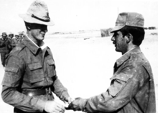 фото из интернета.