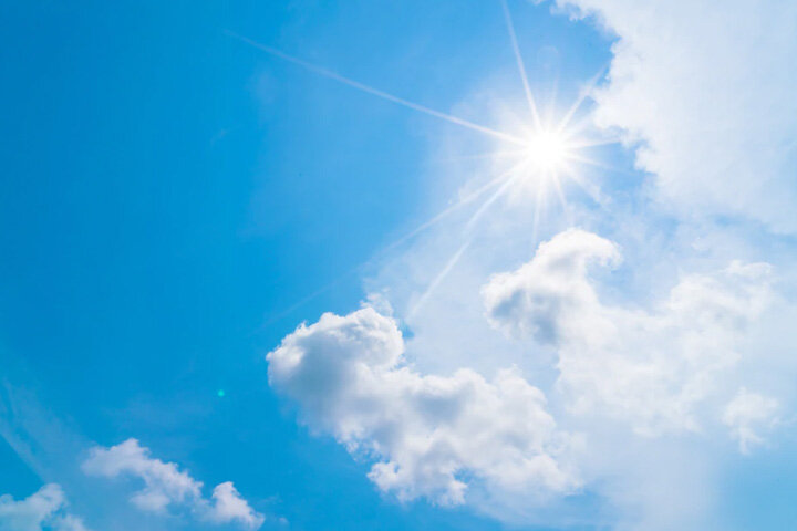 Фото:ru.freepik.com 