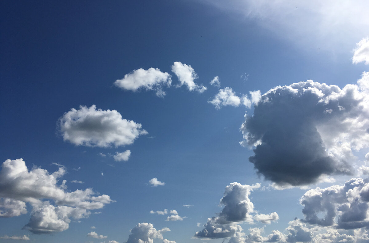 Фото из личного архива