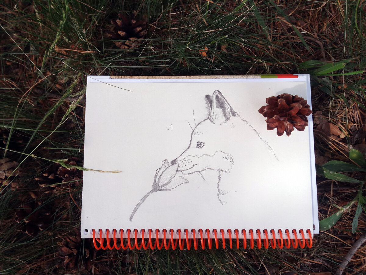 Набросок, сделанный в результате прогулки. 