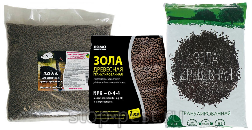 древесная зола для комнатных. древесная зола для комнатных растений. раствор золы. пепел комнатные растения. раствор золы для подкормки комнатных цветов.