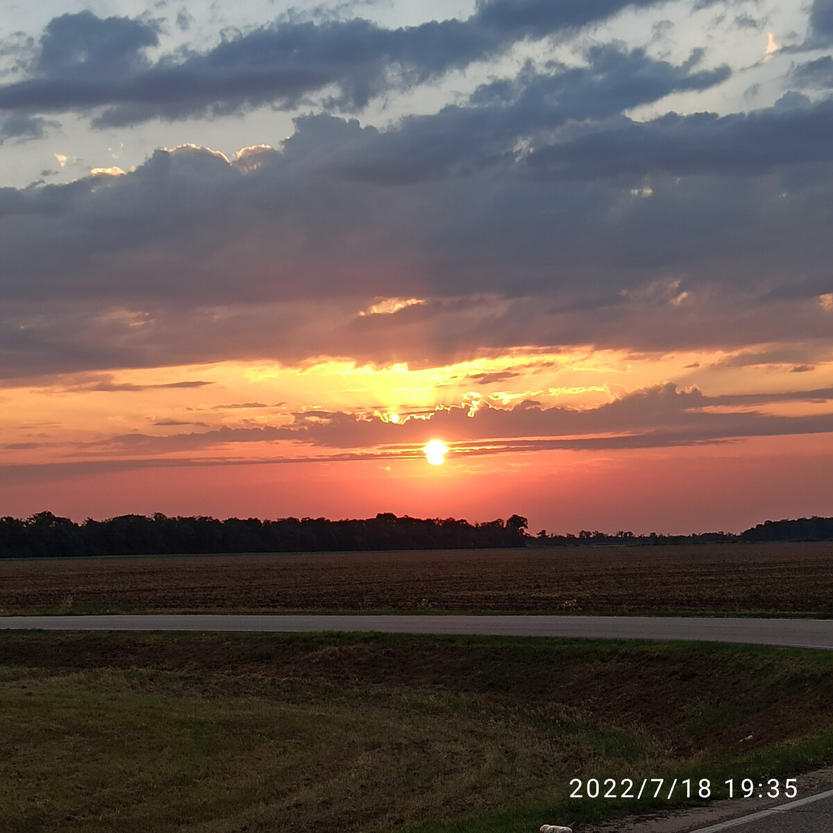 По дороге домой 
