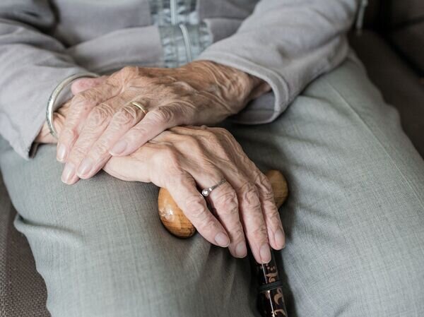   © Image by Sabine van Erp from Pixabay