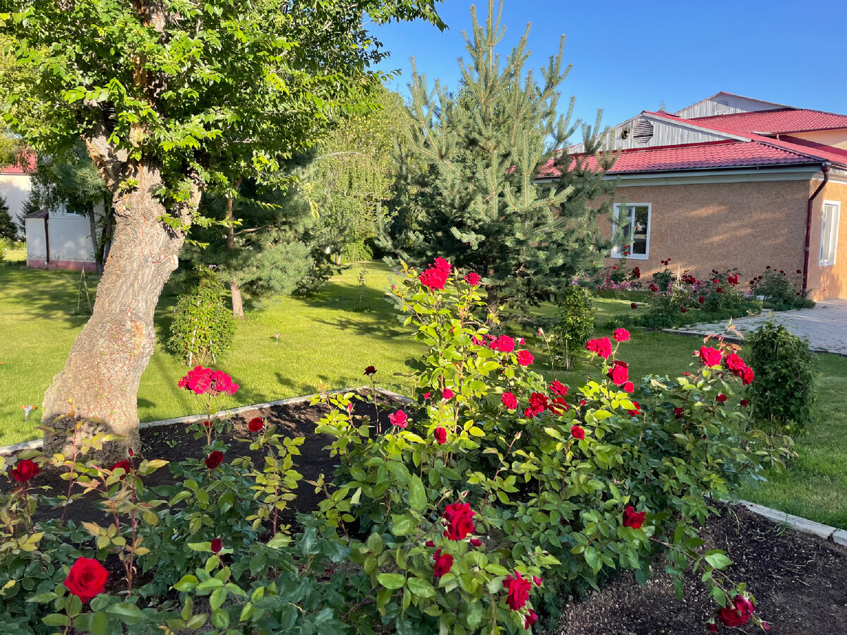 Территория отеля