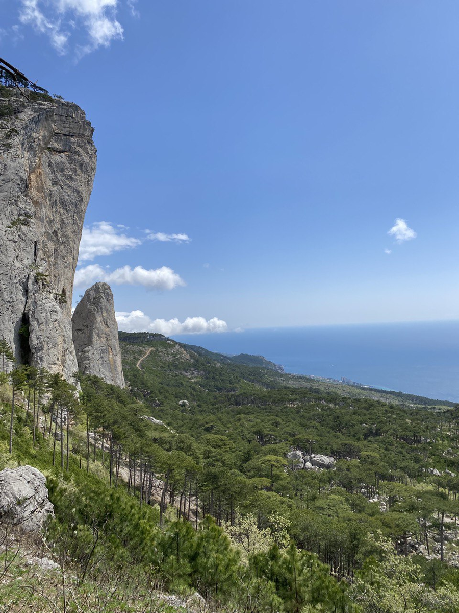 Хайкинг в Крыму: на вершину скалы Шаан-Кая | Dog & Travel • Крым | Дзен