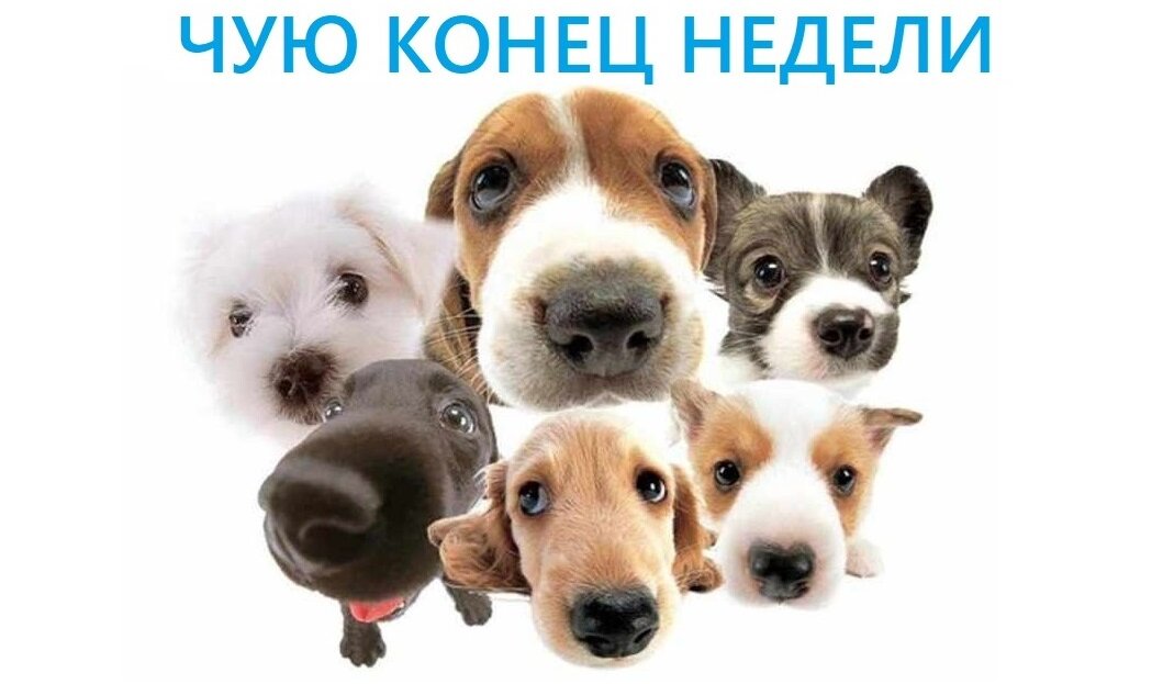 Фото из интернета.