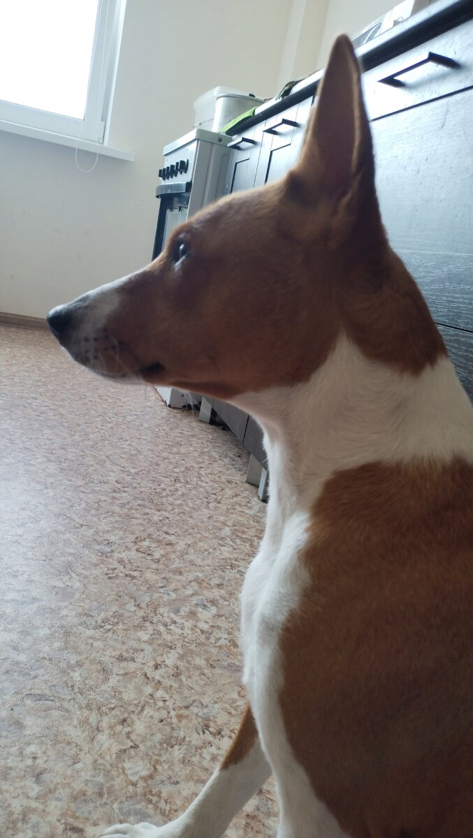 Задумчиво смотрит в пространство.