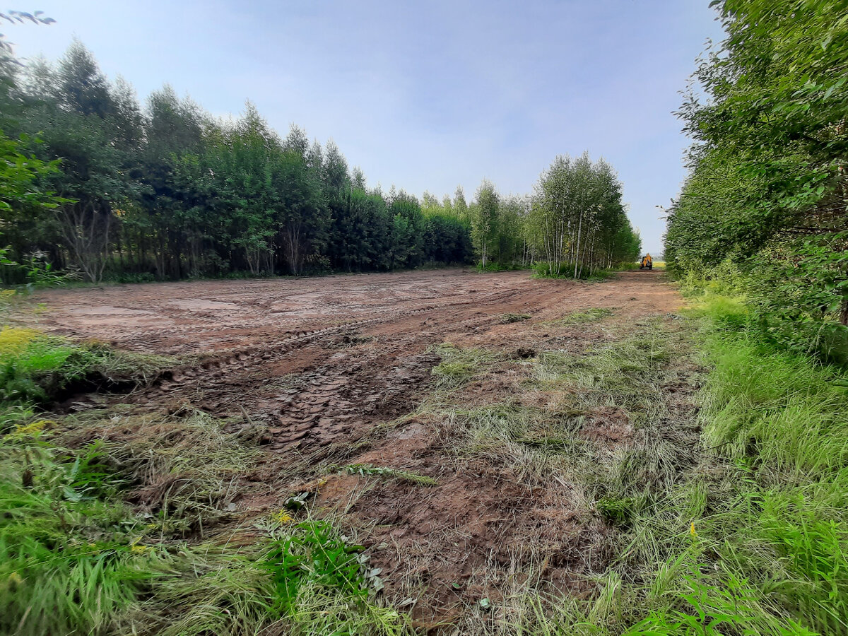 Выравнивание участка.