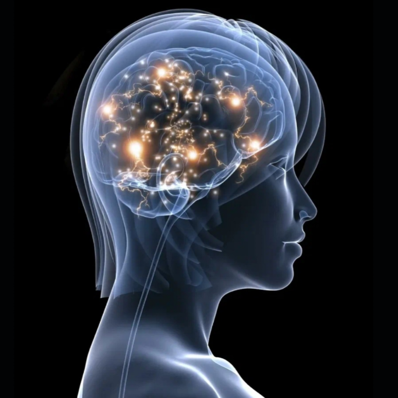 Современный мозг. Нейрофизиология мозга. Активация мозга. Нейрофизиология восприятия. Современная неврология.