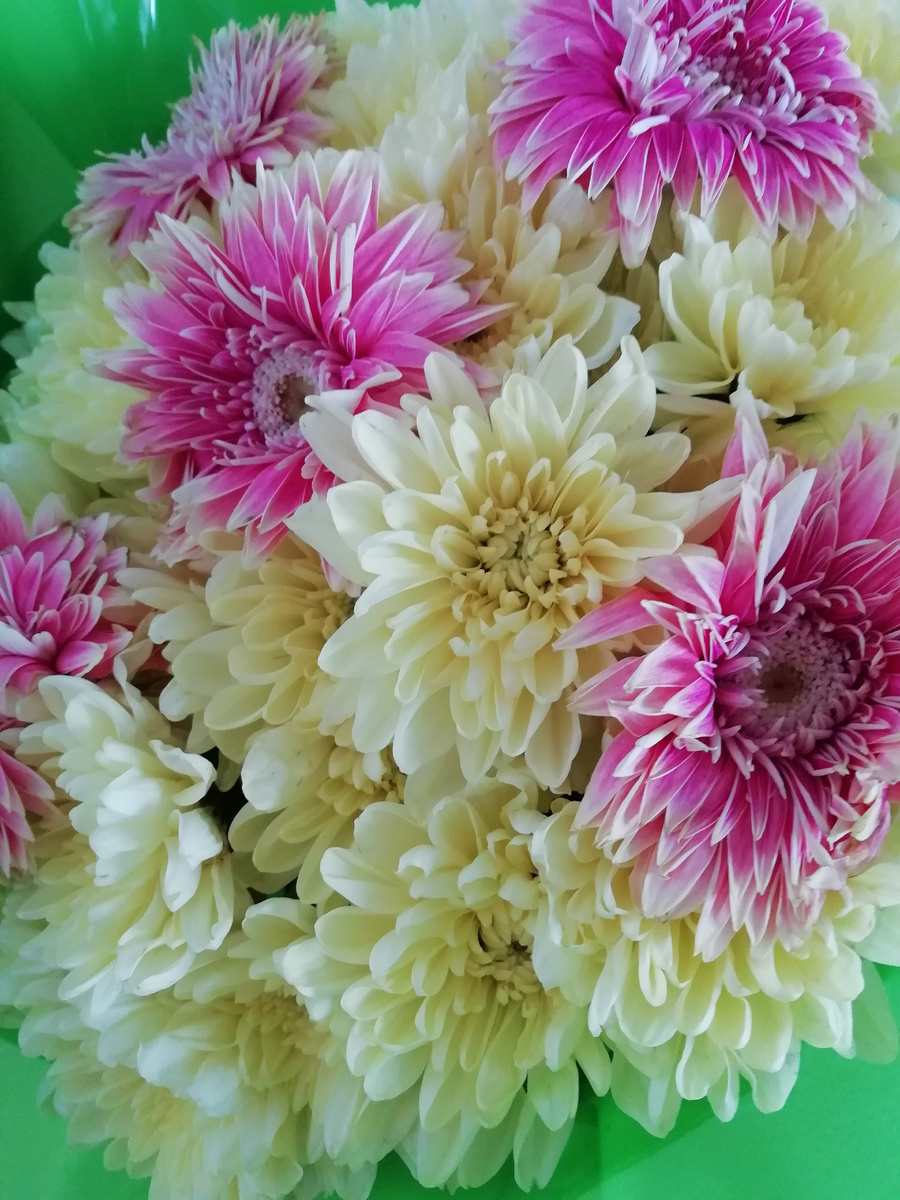 В чём стоят цветы покажу в следующей статье.. 