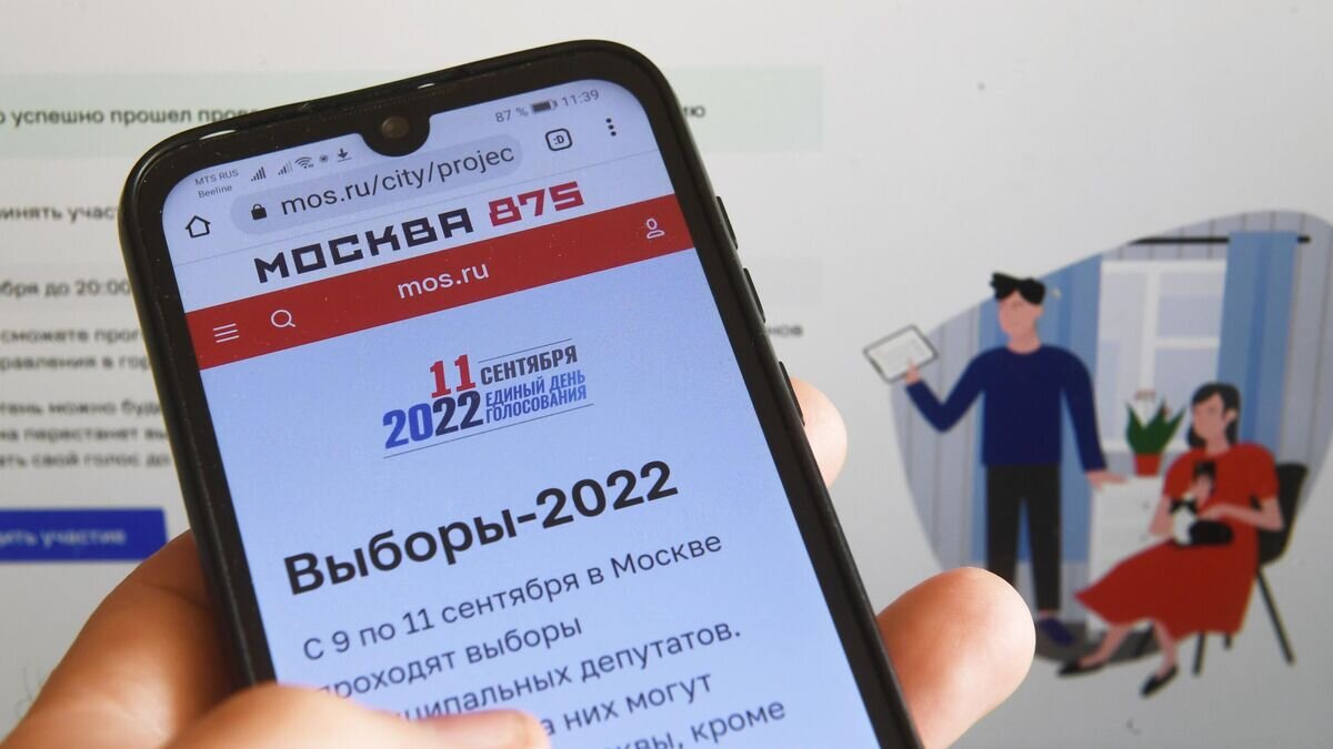    Дистанционное электронное голосование© РИА Новости / Кирилл Каллиников