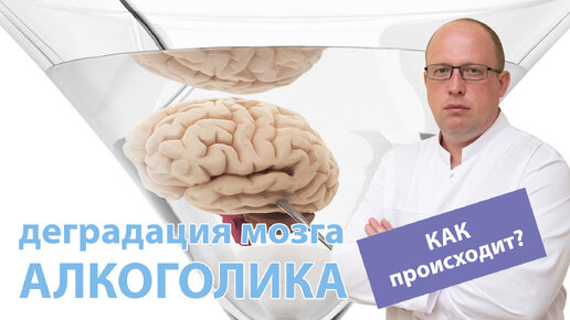 🧠 Как происходит деградация мозга алкоголика? 🚑