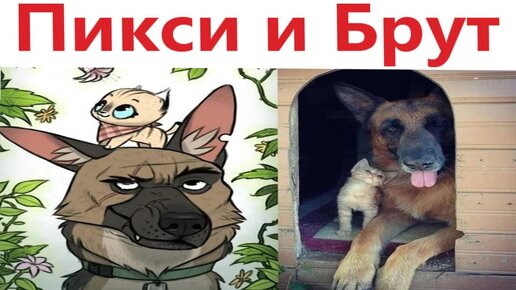 Комиксы - ПИКСИ И БРУТ 1 серия! Озвучка Доми шоу!