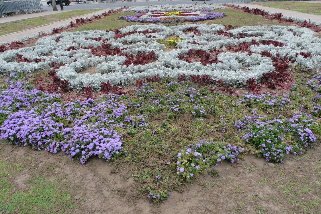    Вытоптанная клумба:пресс-служба акимата Алматы